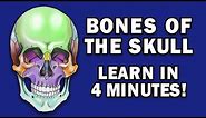 BONES OF THE SKULL - LEARN IN 4 MINUTES