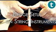 How To Set Up A Bridge on Violin, Cello or Double Bass | In 30 Seconds Or Less | Tutorial | Thomann
