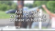 Ask the Vet - What is Cushing's Disease in horses?