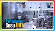 Proses Pembuatan Susu UHT di Pabrik susu Ultrajaya