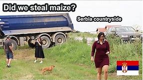Exploring Beautiful Serbian Countryside | Amazing Sunflower Field, Maize Field | See What Happens !!