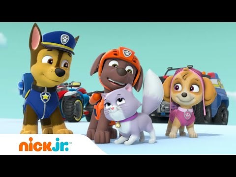 Psi Patrol | Psi Patrol ratuje arktyczne zwierzęta! | Nick Jr.