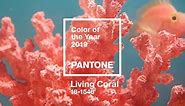 Color of the Year 2019: PANTONE 16-1546 Living Coral