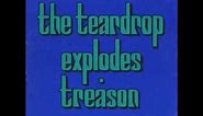 THE TEARDROP EXPLODES books 1980