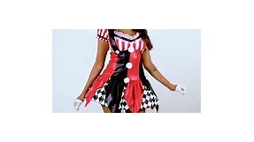 Harlequin Clown Costume