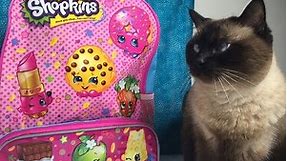 Shopkins Surprise Backpack Tokidoki Moofia Frozen Funko Unboxing | PSToyReviews