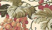 CONCORD WALLCOVERINGS ™ Wallpaper Border Fruit Pattern Grapes Leaves for Cottage Kitchen Dining Room, Beige Brown Green, 7 Inches by 15 Feet EP7228B