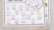 Parts of the Brain Activity for Kids, Brain Diagram, and Worksheets for Kids