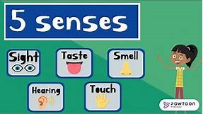 The Five Senses for Kids | Sight, Taste, Smell, Touch and Hearing