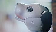 Sony Aibo: Robot dog can 'love' you and 'keep records of everything' it sees you do