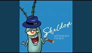Sheldon J. Plankton- Theme From New York (Bikini Bottom)