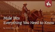 Mule Bits - Everything You Need to Know