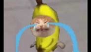 Banana Cat Crying Meme Template | sound effect