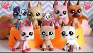All Of My Lps Great Danes || LPS Great Dane Collection