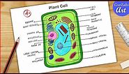Plant Cell Diagram drawing CBSE || easy way || Labeled Science projects - for beginners