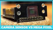 Mega Pixel vs Sensor Size - What is more Important?