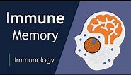 The Science of Immunological Memory | Long-Term Protection | Basic Science Series