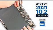 iPad 9 10.2 2021 Teardown | The Repair cost ?