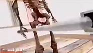 Skeleton hits Spanish woman with bat