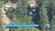 Bear kills man in Prescott, Arizona; bear shot dead by neighbor
