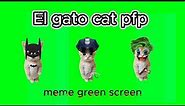 El gato cat meme pfp green screen ( 100% free to use ) #elgato