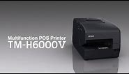 Epson OmniLink TM-H6000V Multifunction POS Printer | Take the Tour