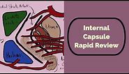 Internal Capsule Rapid Review