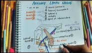 AXILLARY LYMPH NODES || LEVELS || CLINICAL IMPORTANCE || BREAST LYMPHATIC DRAINAGE || UPPER LIMB