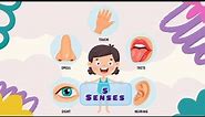 "Unveiling the Wonders: Our 5 Senses|Song|Flash Cards|Nursery Rhymes|Learning For Kids @Kidshub87