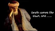 Rumi Quotes about human behavior| Rumi quotes@pushmotivation1013