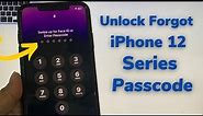 iPhone 12 Series Unlock Forgot Passcode Without Computer Without Data Losing ! How To Unlock iPhone