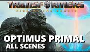 Optimus Primal - Rise of the Beasts All Scenes