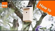 How to build a bird box