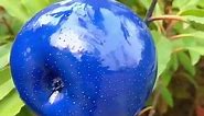 OMG 😱 blue apple?😱#usa #fruit #asmr | blue apple