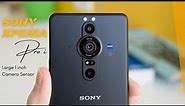 Sony Xperia PRO-I/ Full Review.