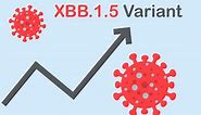 What is the ‘Kraken' Variant? What We Know About the New COVID Variant So Far