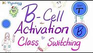 B-Cell Activation and Class Switching | Immunology | Physiology Series