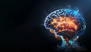 49 interesting human brain facts and stories you need to know