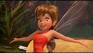 Disney Fairies Shorts: Tink'n About Animals!
