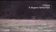 Tikka T3 300WM Review - Woodchuck/Deer Hunting