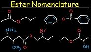 Naming Esters - IUPAC Nomenclature, Branches, Substituents, & Benzene Rings - Organic Chemistry