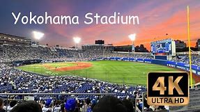 【4K Walk 】Yokohama Stadium, Japanese professional baseball game in Yokohama, Baystars vs Tigers