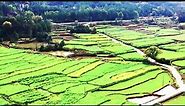 Longsheng Rice Terrace Aerial View, Agriculture in China