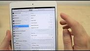 How to change your display and text size on iPad mini