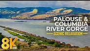 Scenic Landscapes of Palouse and Columbia River Gorge Areas - Relaxing Beauty of Nature in 8K