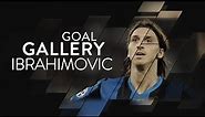 ZLATAN IBRAHIMOVIC | All of his 66 Inter goals 🇸🇪🖤💙