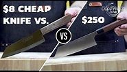 $8 Cheap Kitchen Knife vs Expensive kitchen knife $250