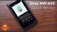 Sony NW-A55 Walkman Digital Audio Player Quick Review (4K)