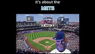 Love the Mets Meme Compilation