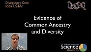 LS4A - Evidence of Common Ancestry and Diversity